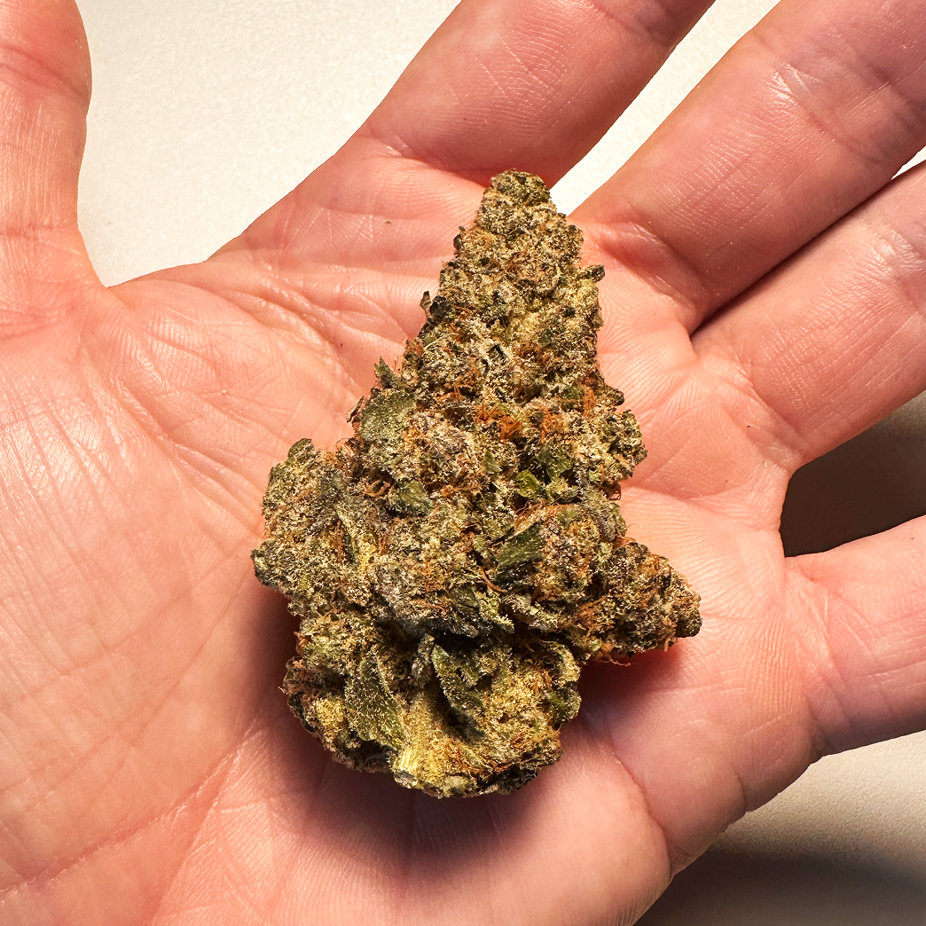 LSO Gas Truffles 7 grams - Image 2